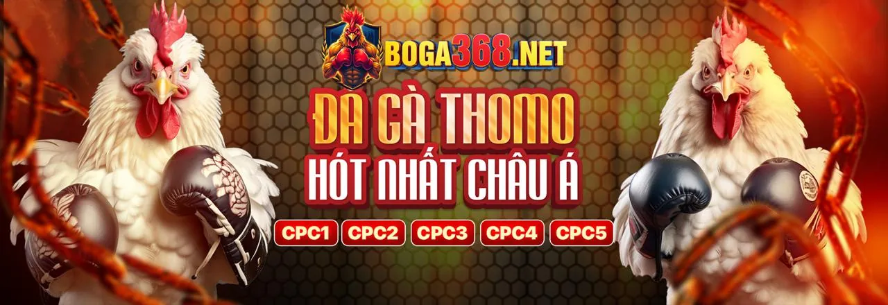 Đá gà trực tuyến kịch tính tại rubik88